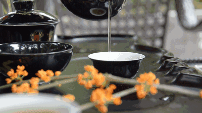 9D03F8FD-F88D-46E1-8C44-433E6E2FB768.gif