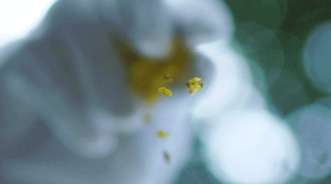 E23F5FFE-ACA3-4034-92FA-7BC2249160F1.gif