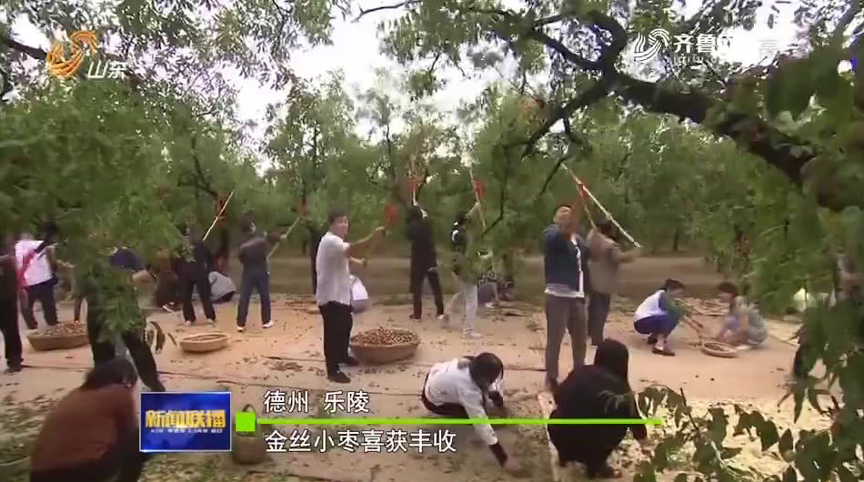 BFA7D827-65B8-4EC8-B274-DB1281EA3866.png