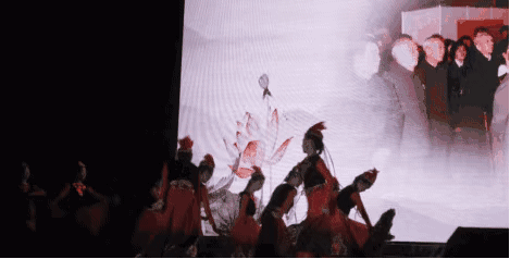 3B173127-113B-4ECD-8135-52D4D7860E9B.gif