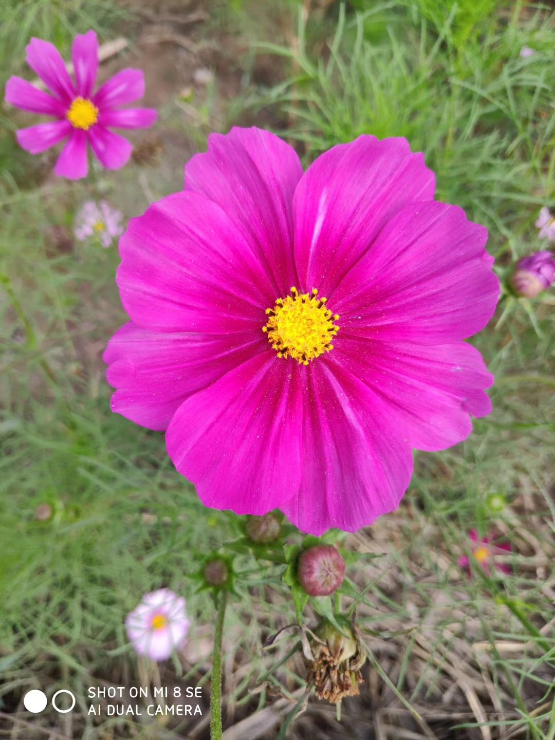 11ED07D7-4494-489D-AE62-AA183AA01750.jpeg