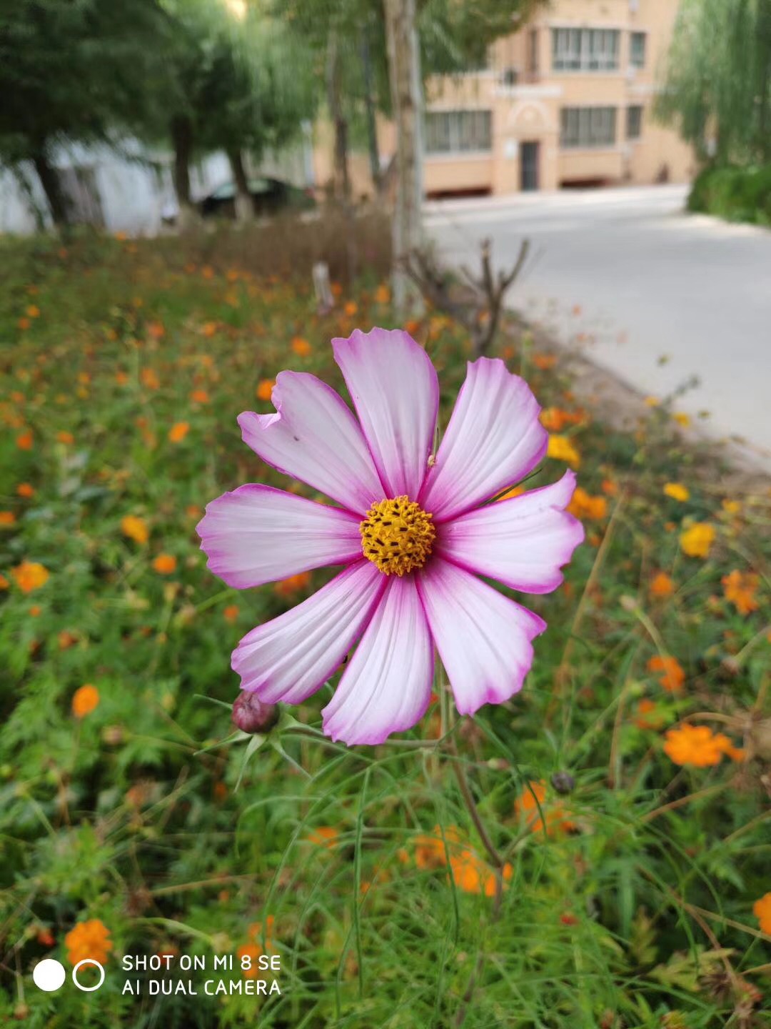 753357F4-1552-490A-A7D9-40559E44B265.jpeg