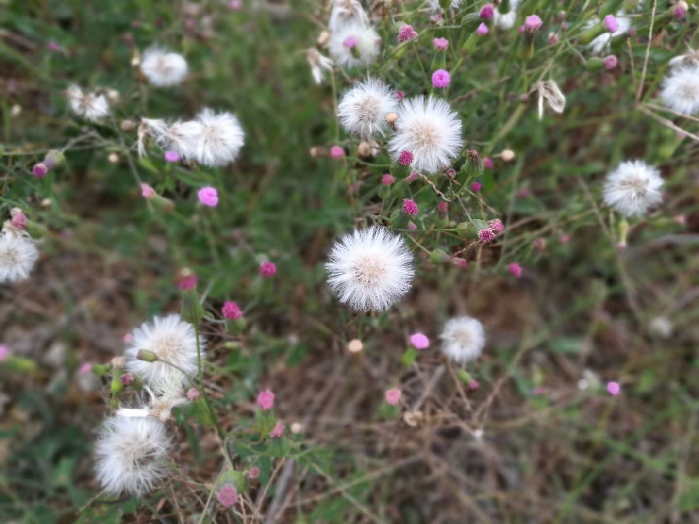 B7F0754B-6D3D-44C3-9BE4-47E447EFF5E0.jpeg