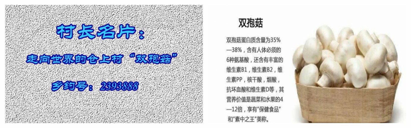 63D57F89-6A45-4ED6-8883-3E92F3B4BC90.jpeg