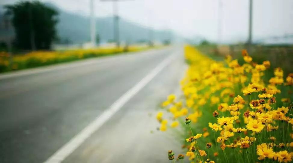 76804A54-1710-4C14-8A2C-90741382A8E7.jpeg