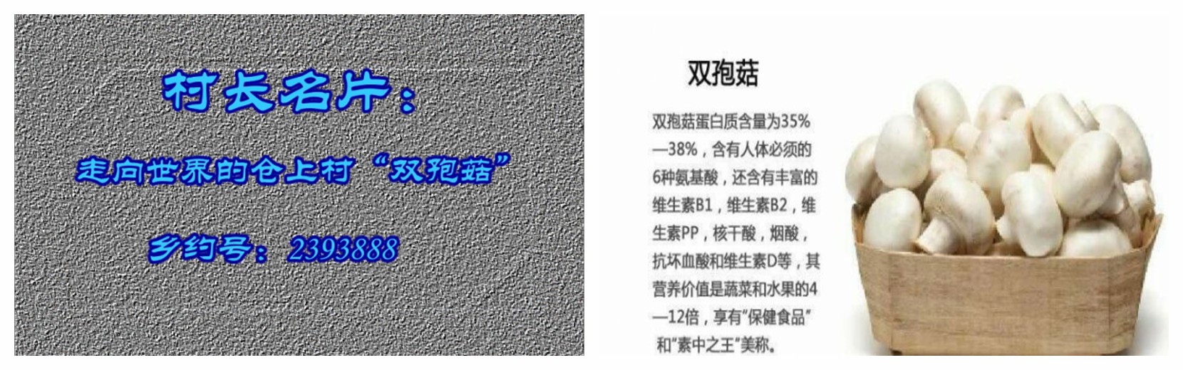 6F2A54FB-47B5-420E-82D1-C865158A5AD2.jpeg