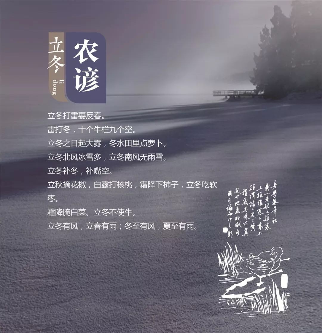3AFAF802-3ECF-4E57-9E77-D9B3CEE9700F.jpeg