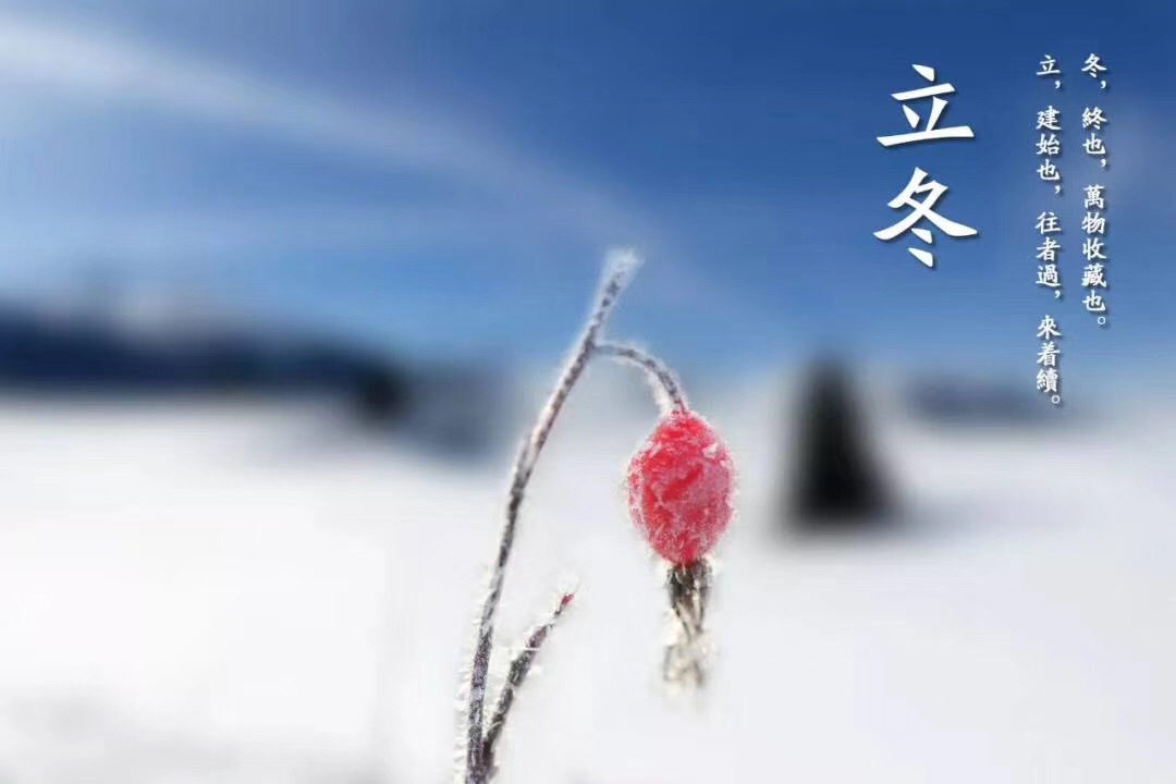 50E2D7B2-D204-4525-B05F-54817D6586F7.jpeg