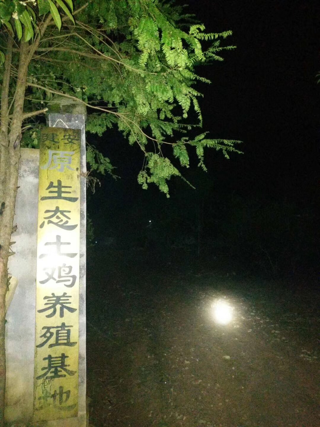 297E28ED-3CDB-4B64-879C-B723098FB5C9.jpeg