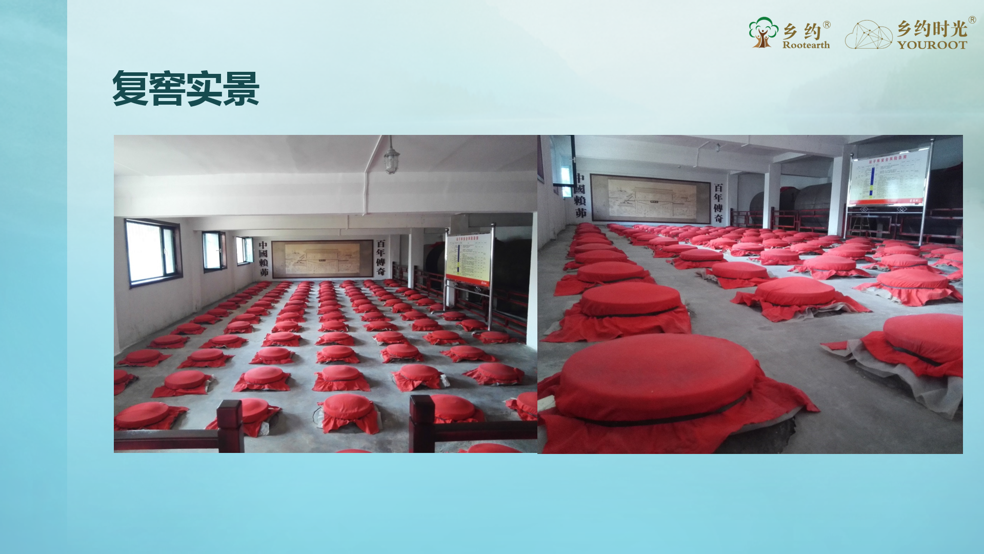 复窖实景.png