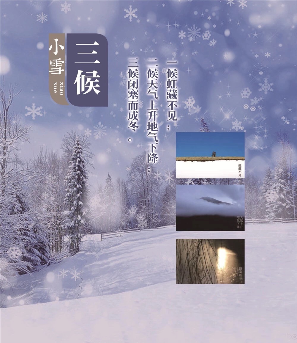 ADDF9B86-CE59-445A-831C-4D598101026F.jpeg