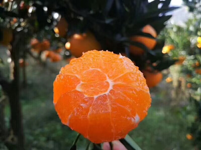 B9F5D845-DFE6-4B3E-801B-10D21D81BF9E.jpeg