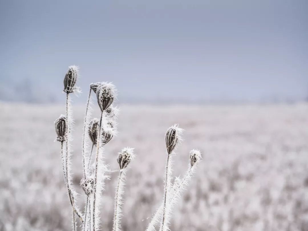 62D29727-2AFE-4917-925F-8DEA066FD26F.jpeg
