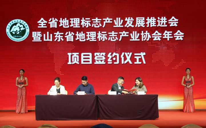2018年12月26日，山东省地理标志产业协会会议现场。 (5).jpg