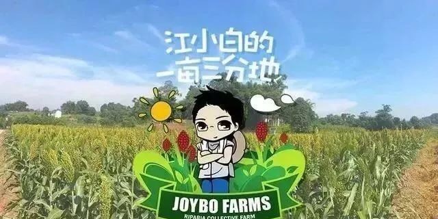 A35D5F4A-D8BC-40BA-AC7D-97D18C4763D0.jpeg