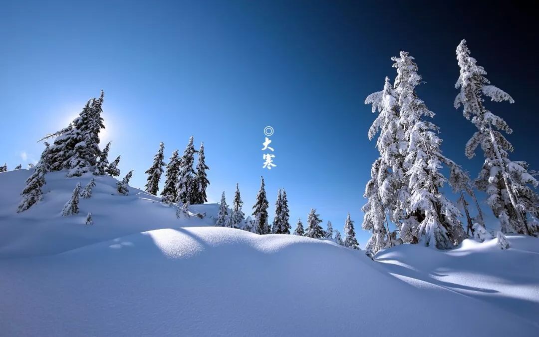 6AD60DB4-3DB6-46D7-B6FB-789CD5039871.jpeg