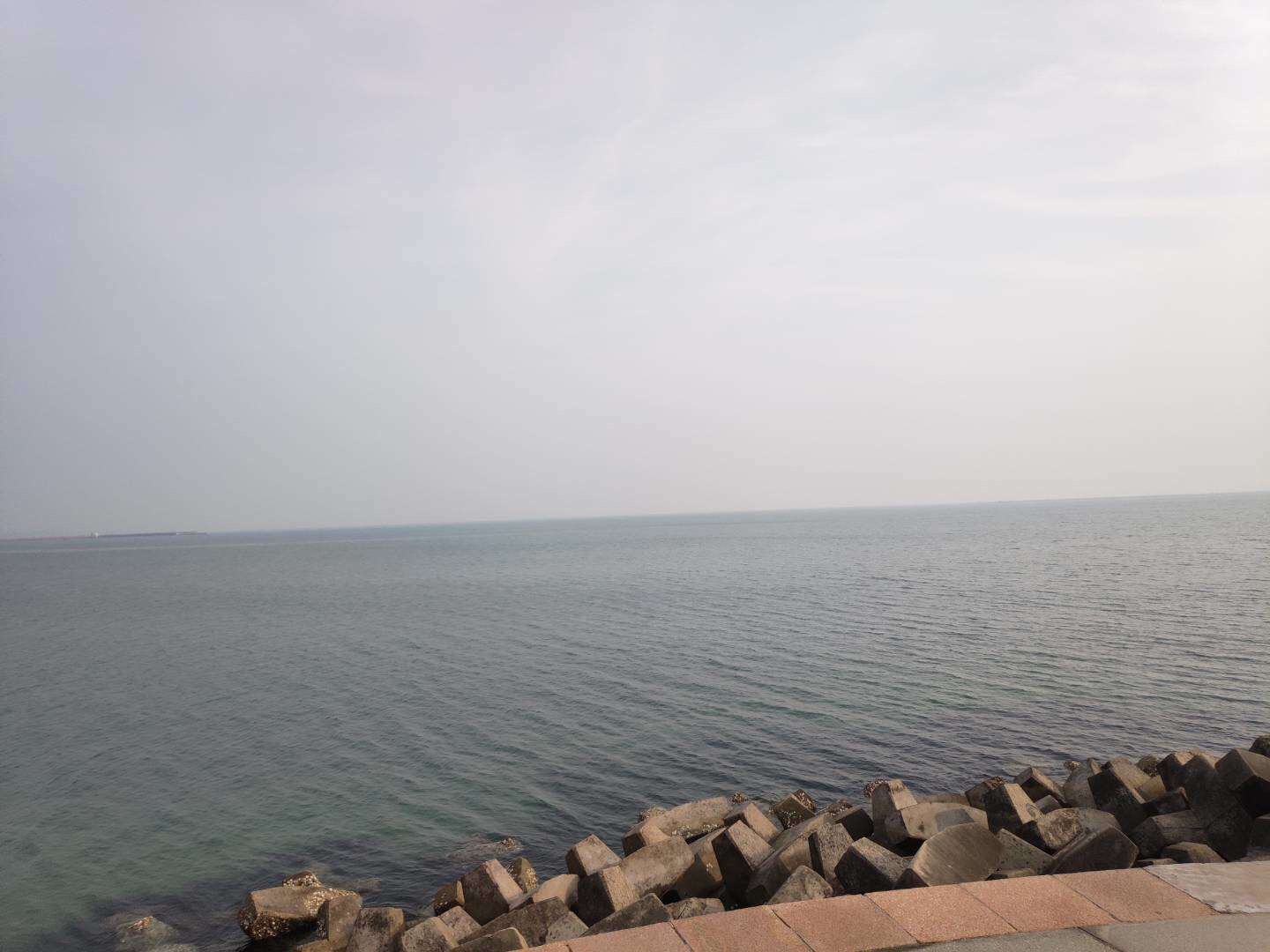 2CE8559F-8060-4CF6-8CC0-E3B2184C5D33.jpeg