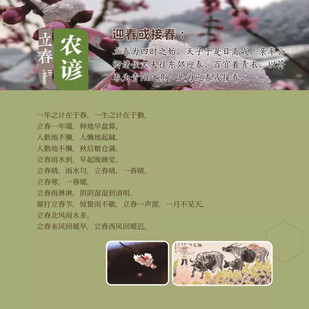 BC92A22B-5A4C-4550-8DCE-35BB9548D5E8.jpeg