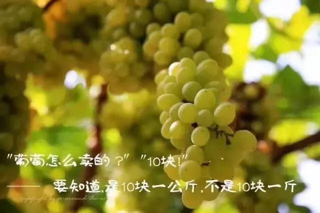 8B98C347-0412-4DA7-AF51-9F09DE6DB527.jpeg