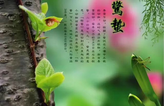 1EF41545-AB6D-4C9B-9CCB-47D366867B22.jpeg