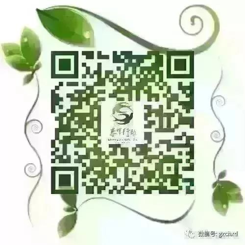 10266A2A-9F6E-4F86-AA03-D387CC0F8ADF.jpeg