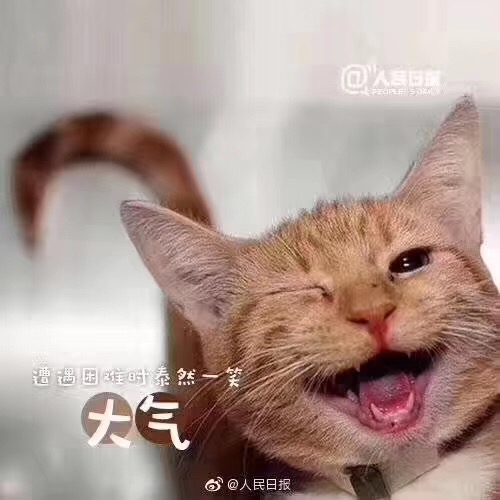 C410192C-D150-4EE0-B2F2-0ED10CC11DBF.jpeg