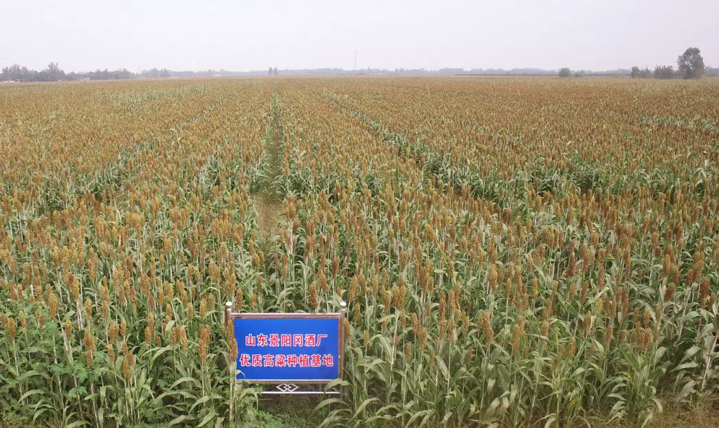 C15CF971-2C5E-4F4B-8E9C-867CBD0BEBF5.png