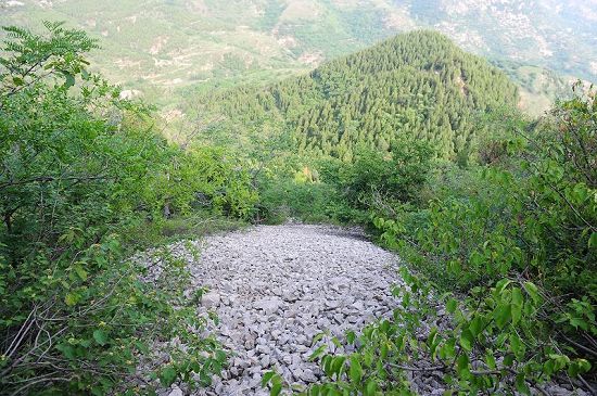 2019年7月13日，山东省济南市九重山景区西峰发现流石坡现场。 (14).JPG