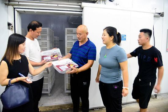 2019年8月10日，摄于山东省茌平区枣乡情农业科技有限公司。 (1).JPG