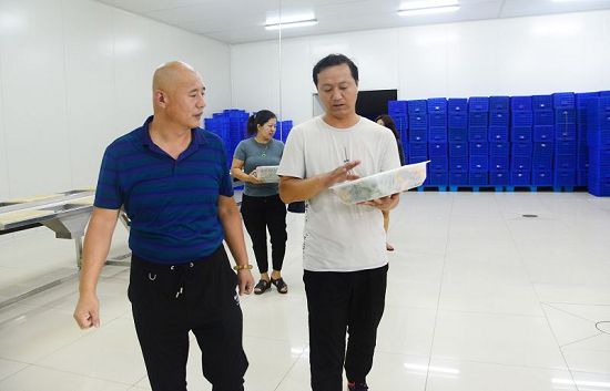 2019年8月10日，摄于山东省茌平区枣乡情农业科技有限公司。 (2).JPG