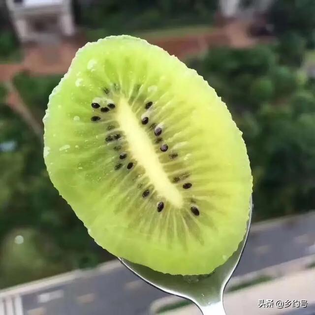 21171602-80B2-4263-9561-791507F22BB5.jpeg