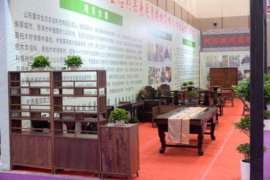 2019年9月19日，山东省聊城市参展企业在第十六届中国林产品交易会上。 (9).JPG