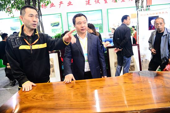 2019年9月19日，山东省聊城市参展企业在第十六届中国林产品交易会上。 (50).JPG