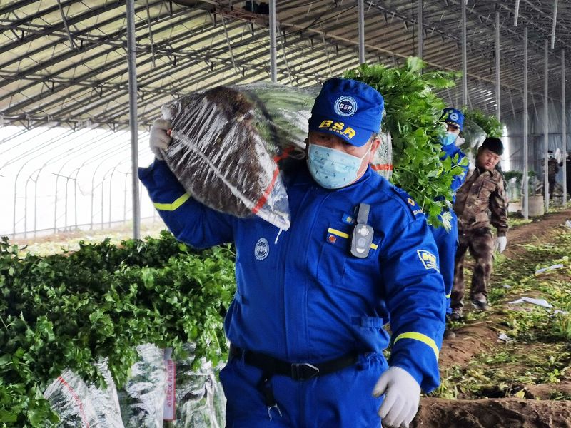 　　2020年2月5日，山东省地理标志产业协会捐赠武汉的生活物资装车现场。 (6).jpg