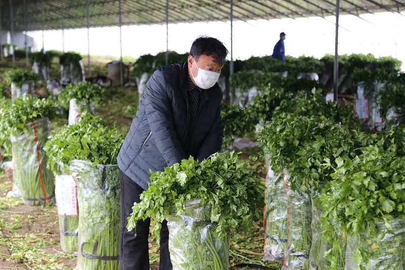 　　2020年2月5日，山东省地理标志产业协会捐赠武汉的生活物资装车现场。
