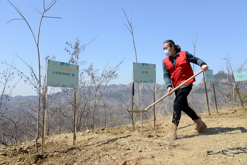 2020年3月17日，我为祖国种棵树活动在博山区大山深处泉子村植树现场。 (32).JPG