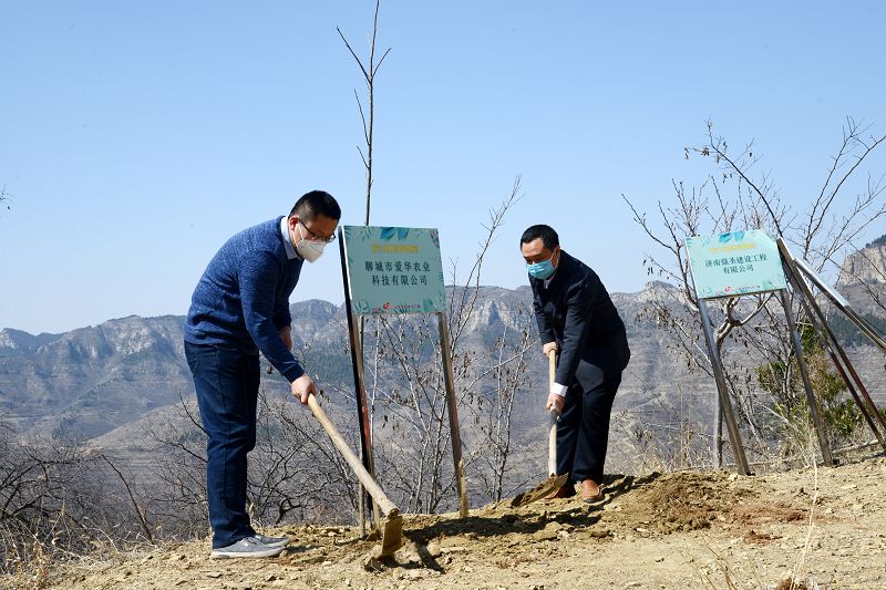 2020年3月17日，我为祖国种棵树活动在博山区大山深处泉子村植树现场。 (35).JPG