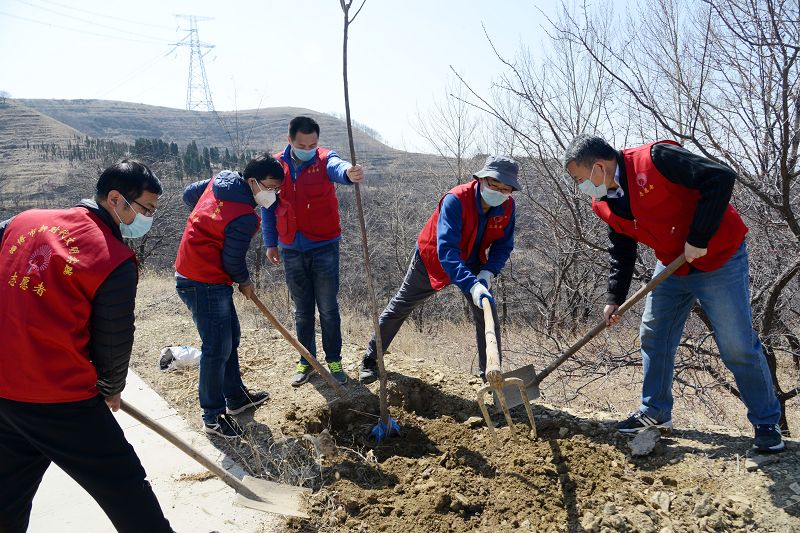 2020年3月17日，我为祖国种棵树活动在博山区大山深处泉子村植树现场。 (42).JPG