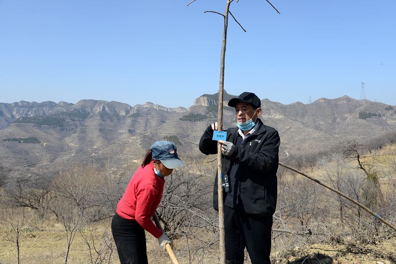 2020年3月17日，我为祖国种棵树活动在博山区大山深处泉子村植树现场。 (43).JPG