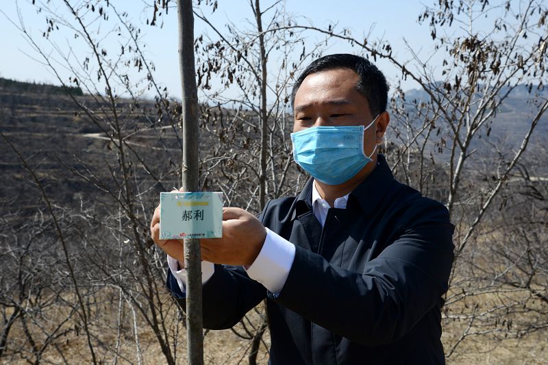 2020年3月17日，我为祖国种棵树活动在博山区大山深处泉子村植树现场。 (45).JPG