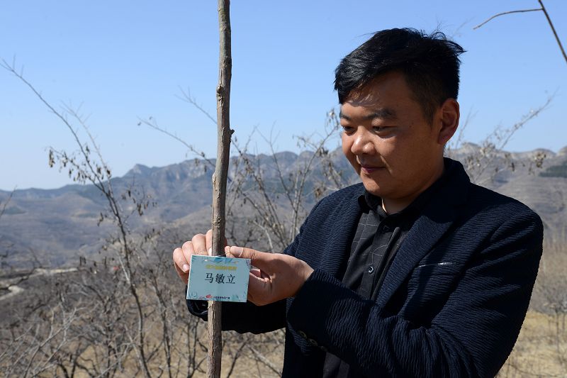 2020年3月17日，我为祖国种棵树活动在博山区大山深处泉子村植树现场。 (48).JPG