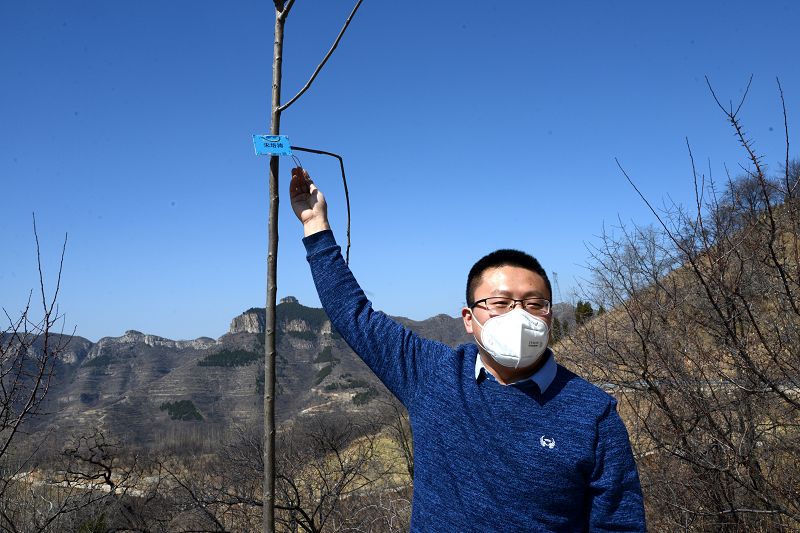 2020年3月17日，我为祖国种棵树活动在博山区大山深处泉子村植树现场。 (49).JPG