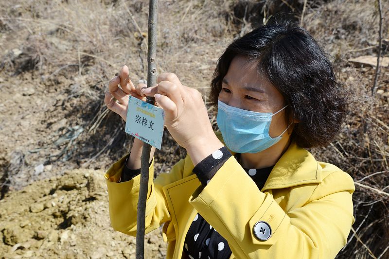 2020年3月17日，我为祖国种棵树活动在博山区大山深处泉子村植树现场。 (50).JPG
