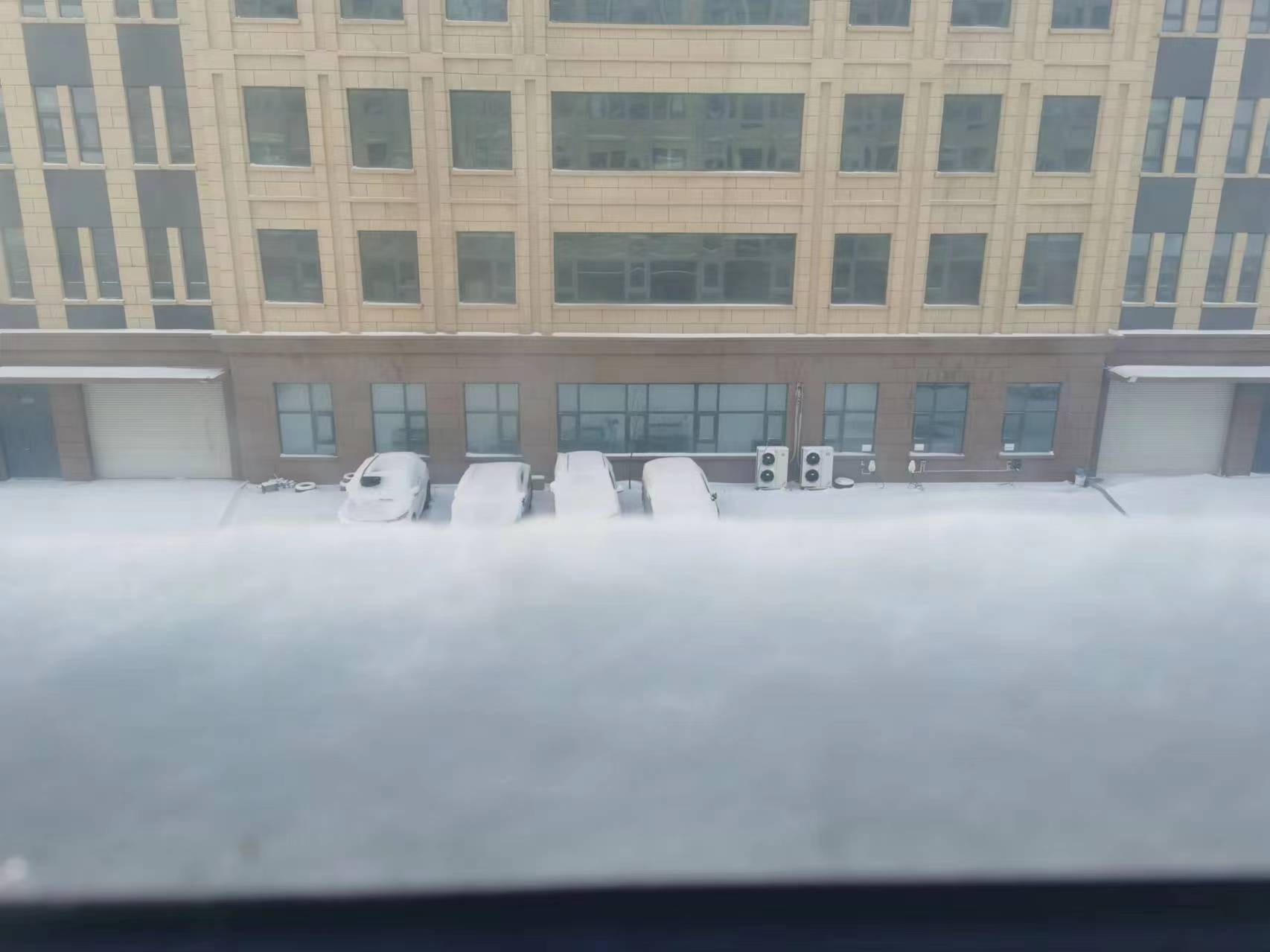 微信图片_20240205083429.jpg