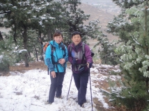 泰山.桃花.雪