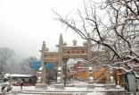 一场雪，给泉城人民送来了惊喜