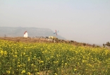 丛林户外4月5日双泉万亩油菜花赏花登山休闲游第一车已满第二车召集中
