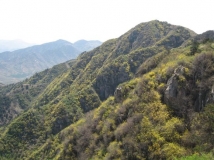 蒿滩、鹊桥、三界碑休闲游