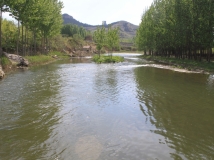 四驴玉符河谷驴行入三川，亲们爱护南山山水如爱泉