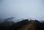 只在此山中，云深不知处。